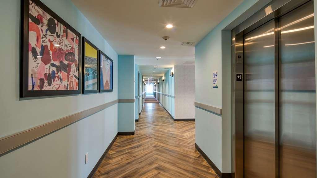 Uptown Extended Tampa Fl -